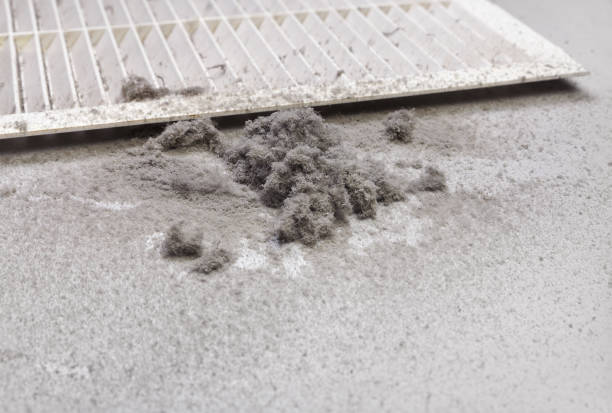 Best Air Duct Cleaning Company Near Me  in Honey Grove, TX