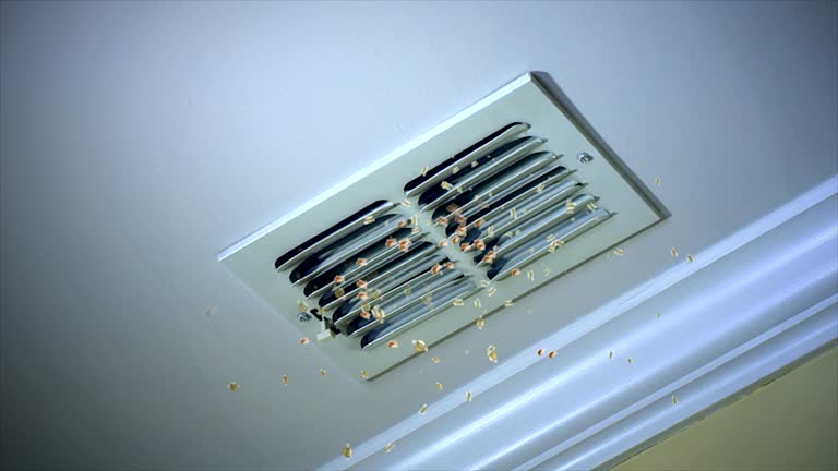 Best Commercial Air Duct Cleaning  in Honey Grove, TX