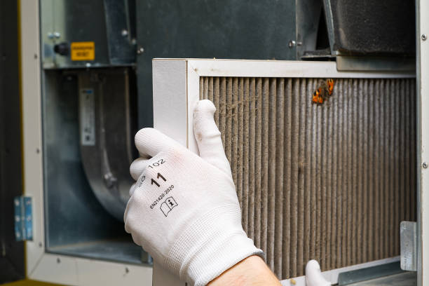 Best Affordable HVAC Duct Cleaning  in Honey Grove, TX