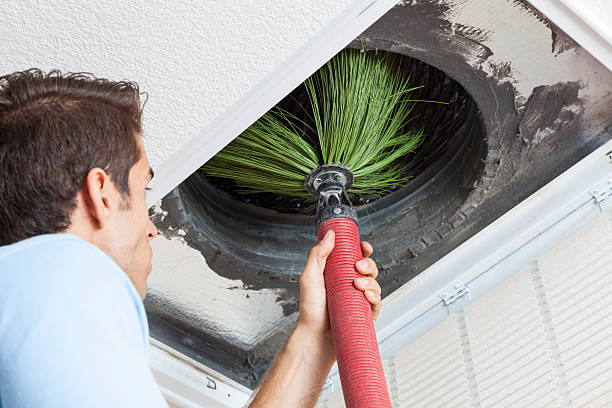 Best Dryer Vent Cleaning Services  in Honey Grove, TX